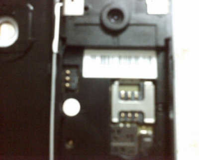 C81_7.jpg