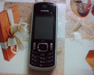SK65_1.jpg