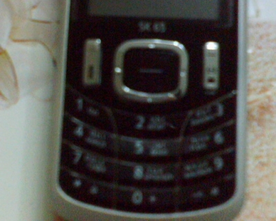 SK65_2.jpg