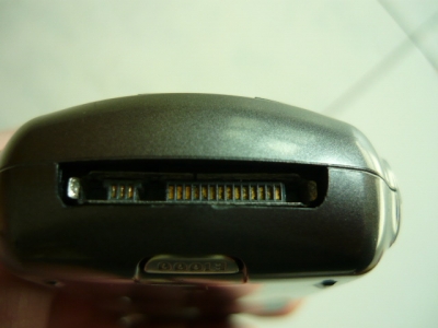 P1010291.JPG