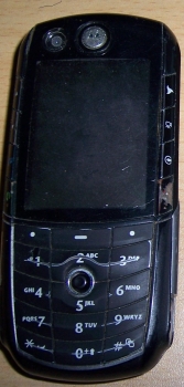 ʬ