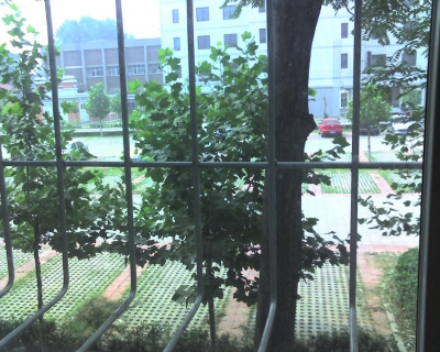 img001.jpg