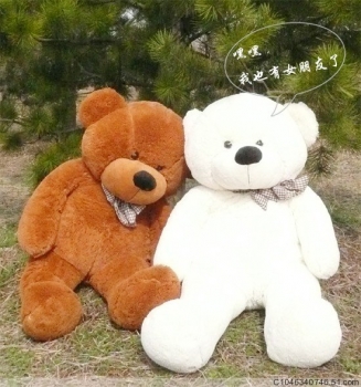 T2AW4kXiNcXXXXXXXX_!!32009381.jpg