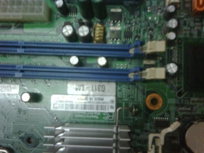 IMG00006.jpg