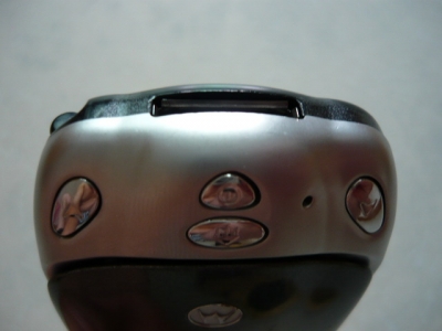 P1010554.JPG