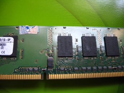 nEO_IMG_IMG_5464.jpg