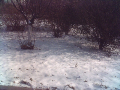 001214_115740.jpg