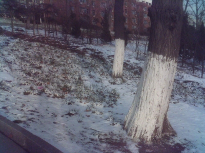 001214_150242.jpg