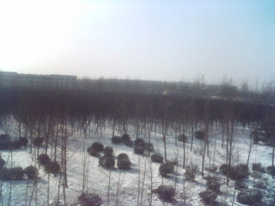001214_105501.jpg