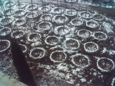 001214_105706.jpg