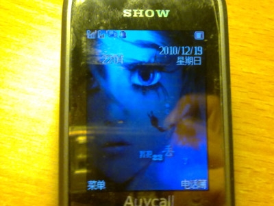 20101219250.jpg