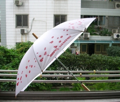 ɡ3.jpg