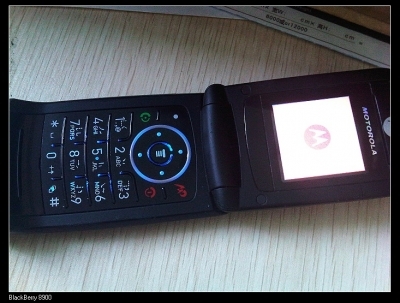 www220.jpg