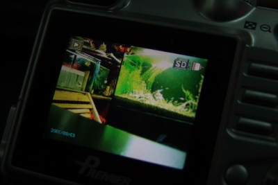 nEO_IMG_2010_11160033.jpg